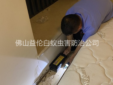 三水家居白蚁灭治工程